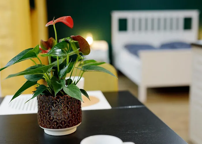 Apartment Na Zielonym Widoku *